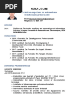 Copie de CV Nizar Jouini