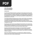 PDF Documento