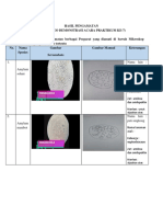 Hasil Pengamatan Mikroskop