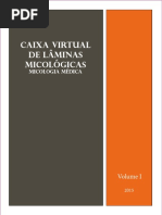 Caixa Virtual Laminas Micologicas Vol01