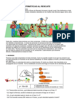 Ficha Alumno Matematicas Al Rescate