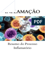 Inflamação - Resumo Do Processo Inflamatório