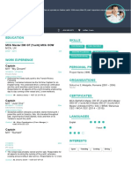 Marine CV Captain Template Modern Seafarer Application Form