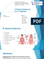 Tema 30 y 31 - Sistema Endocrino e Hipofisis