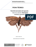 Ficha T Cnica Stenoma Catenifer EPF 2016 1