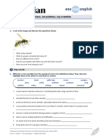 News Lessons Stingingwasps Worksheet Advanced 395194