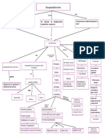 Mapa Conceptual