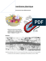 5 La Membrane Plasmique