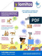 Infografia Michis y Lomitos