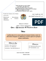 Option: Agroalimentaire & Contrôle de Qualité: Thème