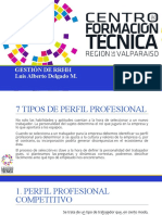 7 Tipos de Perfil Profesional