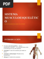 Terminología Médica Sistema Musculoesquelético