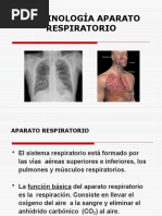 Terminología Médica de Aparato Respiratorio