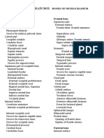 Neurocranuum Brain Box: Bones of Neurocranium