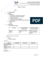 Family Case Analysis Format