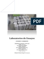 Manual de Laboratorio Tipo Cartilla