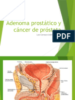 Seminario Prostata