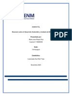 Resumen Sobre El Desarrollo Sostenible y Cuidado Del Medio Ambiente