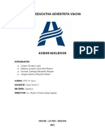 Informe Quimica Acidos Nucleicos