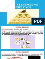 Matéria e Energia Nos Seres Vivos