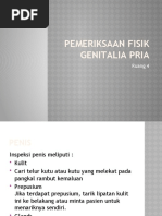 Pemeriksaan Fisik Genitalia Pria: Ruang 4