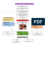 Pathophysiology of Conjoined Twins