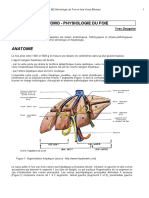 Anatomo Physio Foie