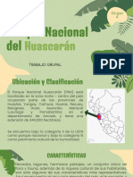 Parque Nacional Del Huascarán-TRABAJO GRUPAL