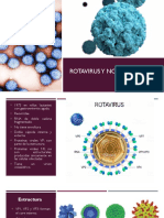 Rotavirus y Norovirus