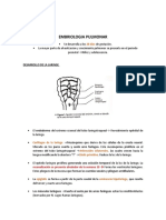 Embriologia Pulmonar