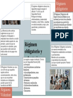 Mapa Mental de Regimen Obligatorio y Voluntario