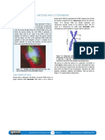 7.3: Mitotic Phase - Mitosis and Cytokinesis