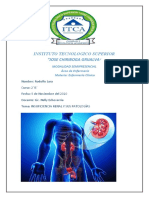 Patologias Del Sistema Renal