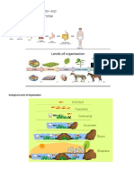 Basic Concept of Ecology and Energy Flow in An Ecosystem