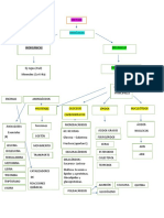 Cuadro Biomoleculas