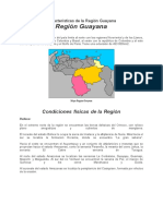 Características de La Región Guayana