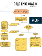 Barahona Brisa - Diagrama de Flujo - Desarrollo Embrionario.