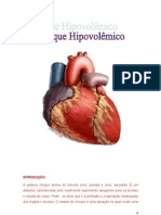 Seminario Choque Hipovolemico