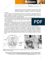 Odisseia10 Questao Aula 1