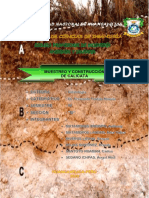 Informe Calicatas