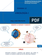 s12 PPT Virología I