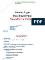 Nématodes Travail Finale