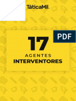 17 Agentes Interventores