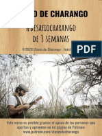 CHARANGO para Principiantes