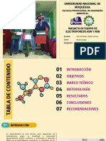 Diapositivas de Maqueta Electroforesis de Adn y Arn