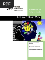 Resumen Rias y Wisc