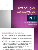 Aula 2 - INTRODUÇÃO AO EXAME DE URINA