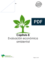 EIA - Cap08 - Evaluación Económica Ambiental