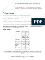 Tache Complexe Sur L'absorbtion Intestinale