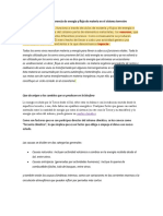 Efectos Que Tiene La Transferencia de Energía y Flujo de Materia en El Sistema Terrestre